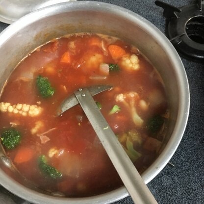 残り野菜と大豆の水煮を使ってからだの温まるスープでした。野菜がたくさん食べれてよかったです。